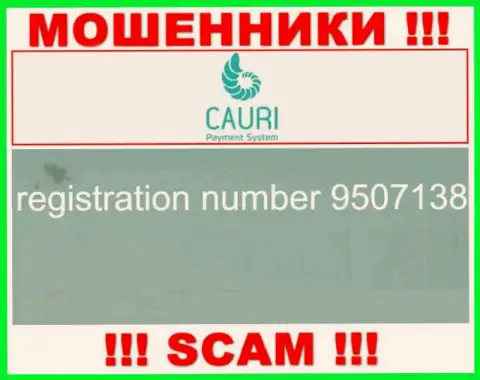 Номер регистрации, принадлежащий жульнической организации Каури Ком: 9507138