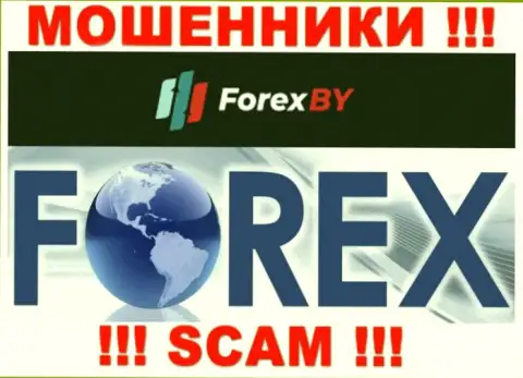 Будьте крайне бдительны, вид деятельности Forex BY, Forex - это разводняк !
