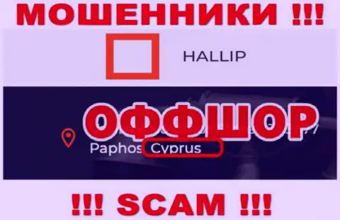Лохотрон Халлип Ком имеет регистрацию на территории - Кипр