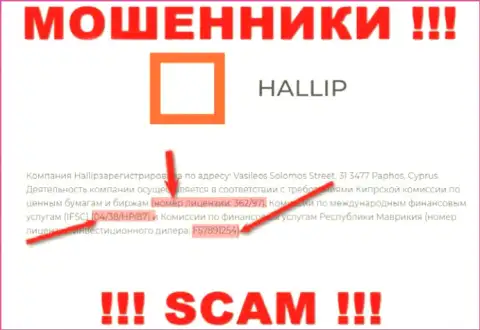 Не связывайтесь с мошенниками Hallip Com - существованием номера лицензии, на сайте, завлекают доверчивых людей