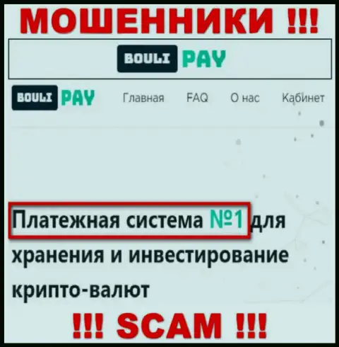 Основная работа Bouli-Pay Com - Платежная система, будьте бдительны, действуют противозаконно