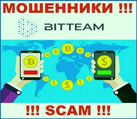 С организацией BitTeam взаимодействовать слишком рискованно, их сфера деятельности Криптовалютный обменник - это замануха