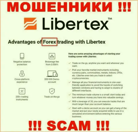 Будьте крайне внимательны, вид деятельности Libertex Com, Форекс - это надувательство !!!