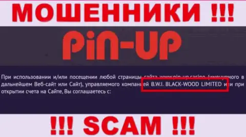 Мошенники PinUp Casino принадлежат юридическому лицу - B.W.I. BLACK-WOOD LIMITED
