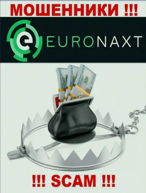 Не вводите ни рубля дополнительно в дилинговую организацию EuroNaxt Com - прикарманят все под ноль