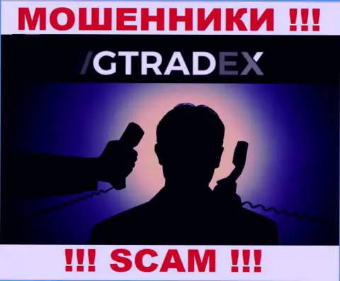 Сведений о руководстве шулеров GTradex во всемирной паутине не найдено