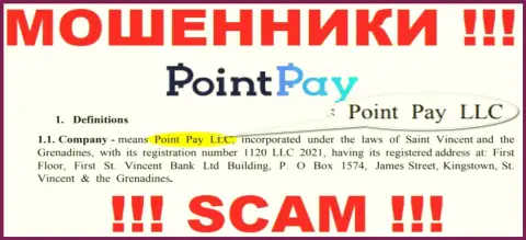Point Pay LLC - это организация, которая руководит internet-ворюгами ПоинтПай Ио