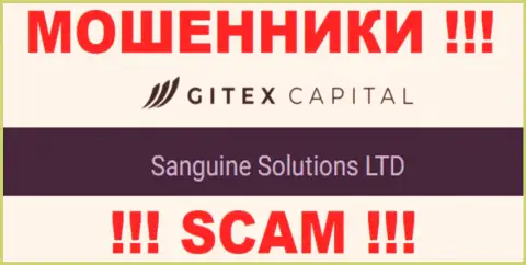 Юр. лицо GitexCapital - это Sanguine Solutions LTD, такую инфу показали мошенники у себя на веб-сервисе