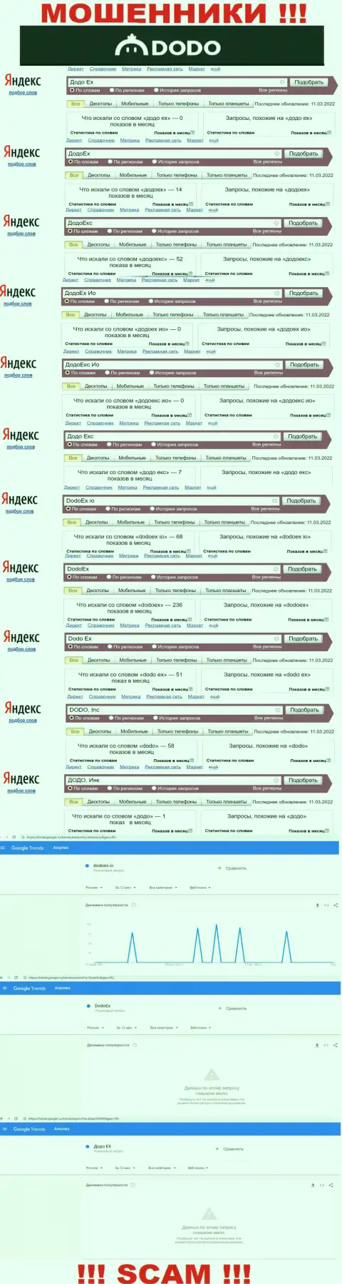 Статистические показатели online-запросов по обманщикам DodoEx io в поисковиках сети интернет