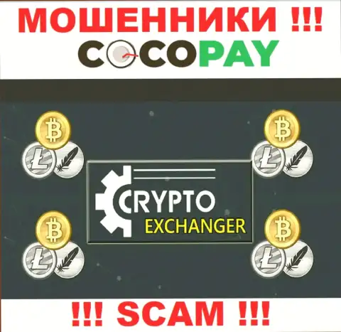 Coco-Pay Com - это циничные internet-мошенники, вид деятельности которых - Обменник