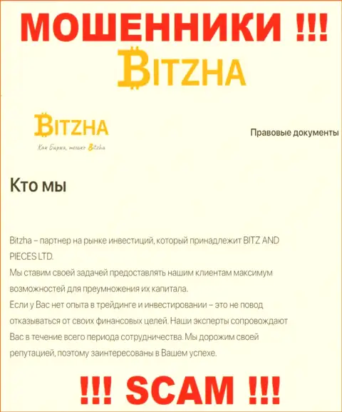 Bitzha 24 - это коварные ворюги, направление деятельности которых - Инвестиции