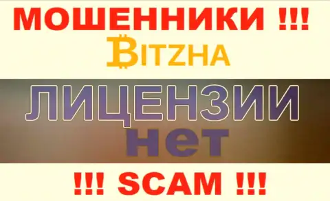 Шулерам Bitzha не дали лицензию на осуществление деятельности - сливают вклады