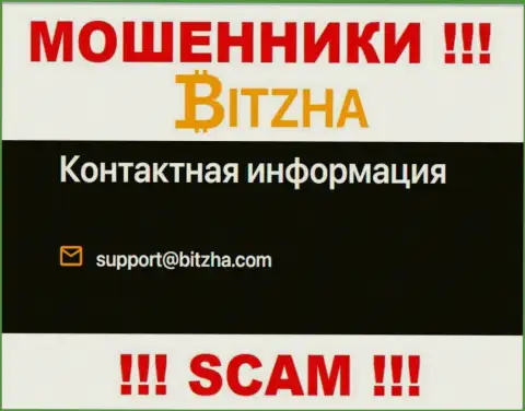 Электронный адрес мошенников Bitzha24 Com, информация с официального web-сервиса