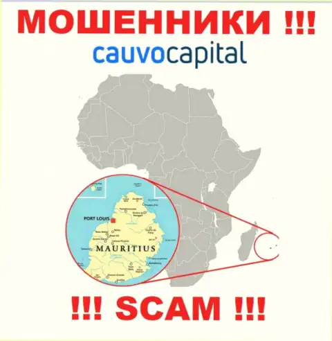 Компания CauvoCapital Com прикарманивает вложенные деньги людей, расположившись в офшорной зоне - Mauritius