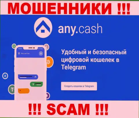 АниКеш - это интернет мошенники, их работа - Цифровой кошелек, направлена на слив денежных вложений клиентов