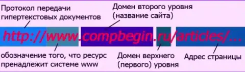 Информация об организации доменов